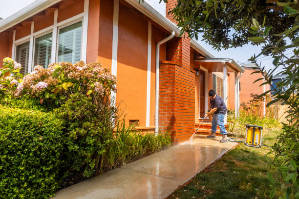 Best Fence Pressure Washing  in Alorton, IL