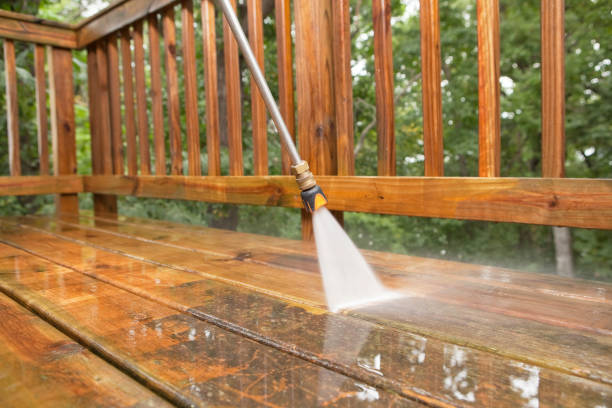 Best Affordable Power Washing  in Alorton, IL