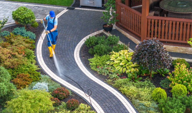 Best Local Pressure Washing Services  in Alorton, IL